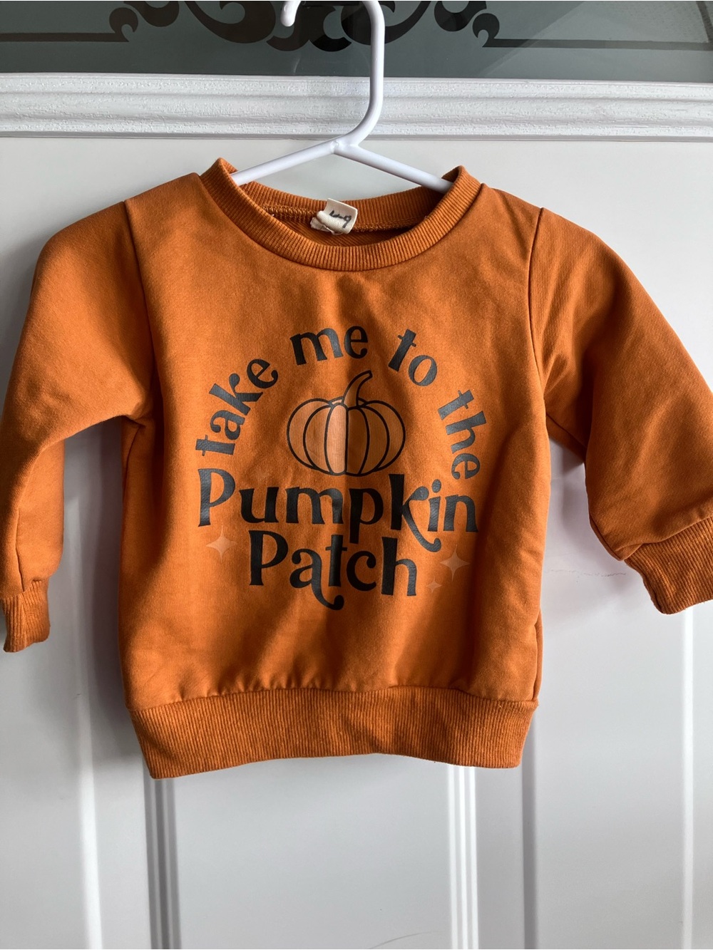 Take me to the pumpkin patch fall sweater Size 70 6-9 months